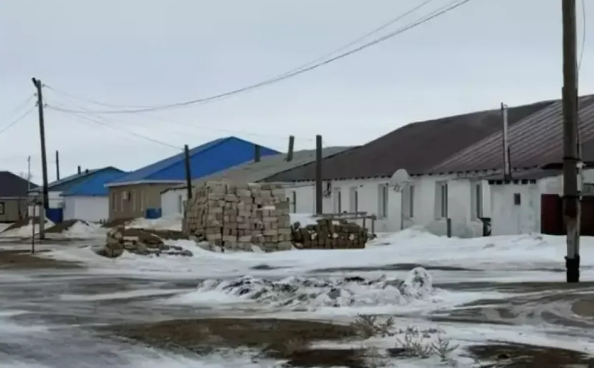 Видеодан кадр