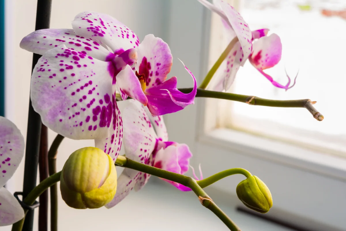 Depositphotos