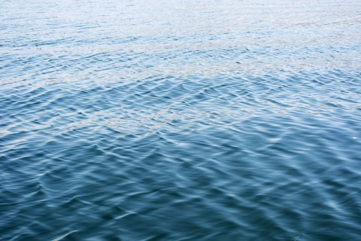 Depositphotos.com