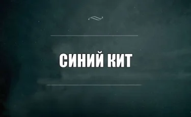 Алматинские дети вовлечены в смертельные игры в Интернете