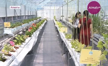 В Алматы открылась зона зелёных технологий 