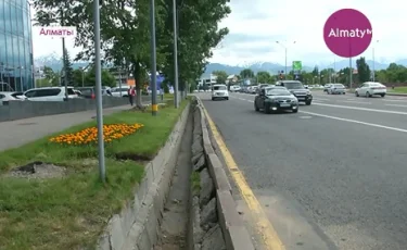 В Алматы девушка утонула в арыке 