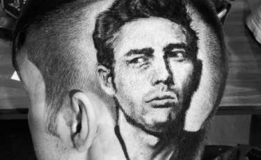 Портрет Головкина на голове выстриг художник из Уральска