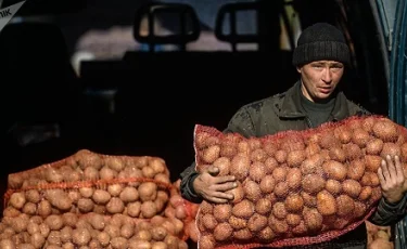 Минсельхоз Казахстана прокомментировал возврат овощей Россельхознадзором