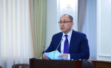 Один цифровой и пять миграционных ЦОНов откроют в Казахстане в 2019 году