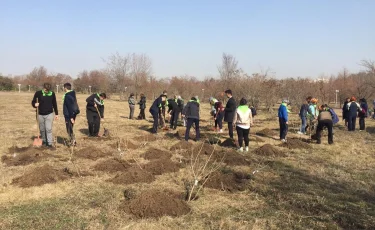 100 кустов сирени высадили в парке Первого Президента 