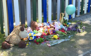 Председатель Комитета по ЧС прокомментировал увольнение владельца батута