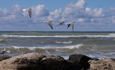 Туризм на Каспийском море активно продвигается