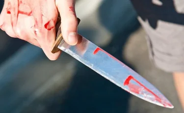 Поножовщина в Аккенте: 15-летний подросток убил мужчину (видео)