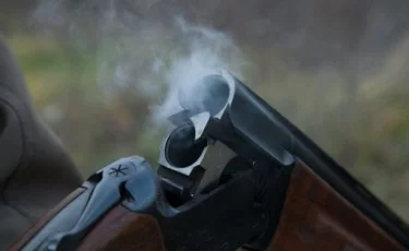 Житель столицы стрелял в жену и сына