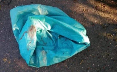 Избили и сожгли свою 5-летнюю дочь родители в Ташкенте 