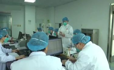 Мамандар коронавирусты тұмаумен шатастырудан абайлауға шақырды