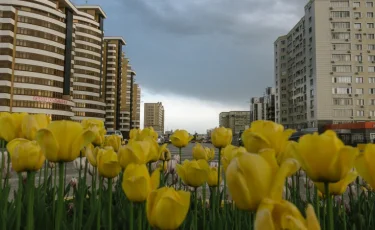 Шымкент закрывают на карантин с 4 апреля