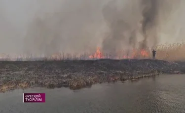 Пожар в Алматинской области: борьба с огнем длилась более трех дней 