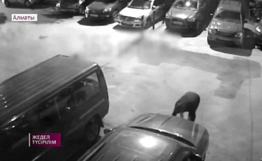 Снимал госномера и требовал выкуп - злоумышленника задержали в Алматы