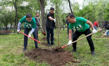Аким Алматы принял участие в посадке деревьев в рамках экологической акции Alma Qala