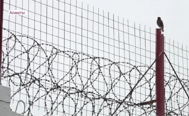 Попытка суицида в СИЗО Алматы: заключенный находится под наблюдением медиков