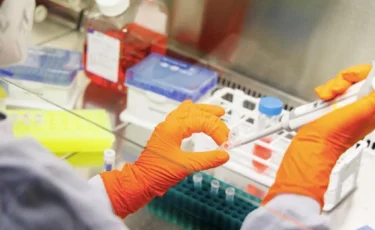 Выявлено 447 случаев заболевания КВИ за сутки в Казахстане