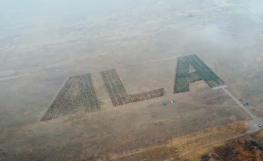 Слово из деревьев: в Алматы появится сад в виде кода ALA