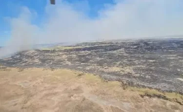 Камыш горит на территории Иле-Балхашского резервата