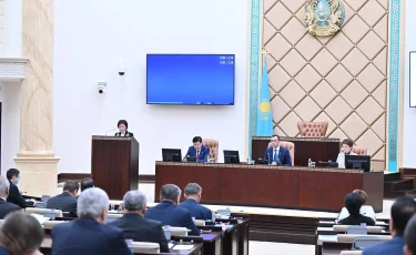 Запрет на вейпы: сенаторы вернули закон в Мажилис на доработку
