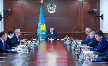 Ни одного случая оспы обезьян в Казахстане не зарегистрировано - Бектенов