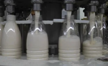 Лайфхак: сходить за молоком или что продают в наших магазинах