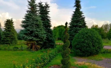 Алматыда «Ұлттық дала ойындары» республикалық фестивалі өтті