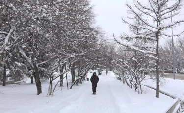 В ближайшие дни Казахстан ждет неустойчивая погода