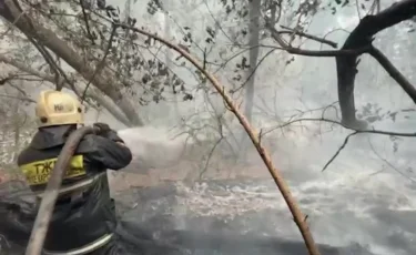 Пожар близ Астаны тушат вторые сутки