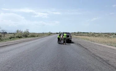 Күре жолдардың ахуалы жайлы ақпарат арнайы базаға енеді