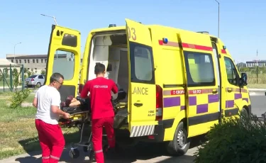 Биыл 5 адам көгілдір отыннан уланып көз жұмды
