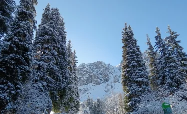 Как прошли крещенские купания в Алматы