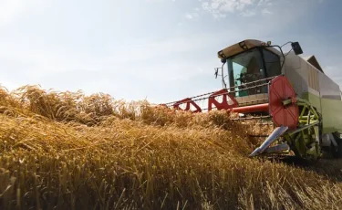 Қазақстанның агроөнеркәсіптік кешені 1,1 млн-нан астам адамды жұмыспен қамтамасыз етуде