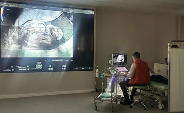 Қазақстанда алғаш рет жатырдағы егіздерге операция жасалды