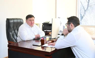 Алматыда үйсіз жануарларға арналған жедел ветеринариялық көмек іске қосылды