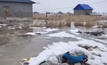 Человеческий фактор: в Алматинской области затоплено несколько дворов