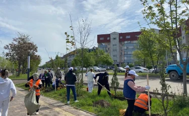 Ликвидация свалок и озеленение: как в Алматы реализуют работу в рамках «Таза Казахстан»