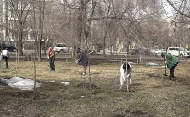 Жаңару күні: Алматыда жалпықалалық сенбілік өтті