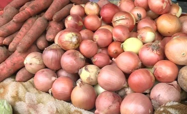 Қазақстан былтыр 16 млн тоннадан астам ауыл шаруашылығы өнімдерін экспорттады