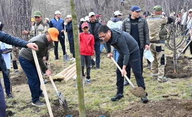Almaty clean & green: қалалық сенбілікте 10 мыңнан астам ағаш отырғызылды