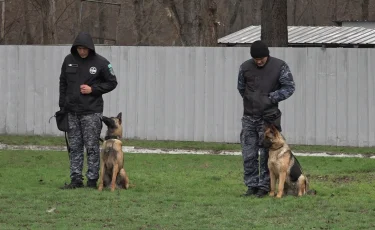 Более 600 килограммов наркотиков обнаружили кинологи с начала этого года