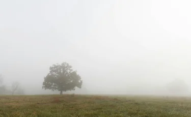 Еліміздің бірқатар өңірінде тұман түсіп, боран соғады