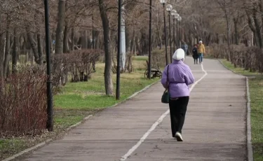 Клещи активизировались: в СКО от укуса опасных насекомых пострадали десятки человек