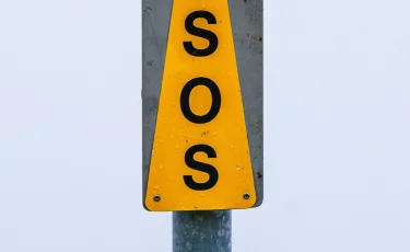 SOS: в Шымкенте появился универсальный помощник в любых чрезвычайных ситуациях