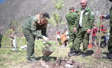 Таза Қазақстан: Алматыдағы Аюсай шатқалында қарағай ағашы отырғызылды