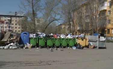Мусорный коллапс: Усть-Каменогорск утопает в отходах