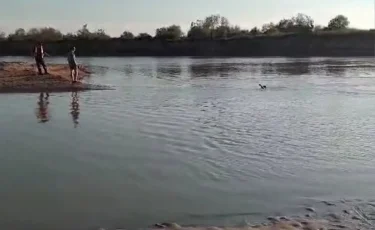 В Алматы усилят контроль за водоемами в период летних каникул