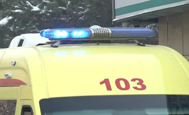 Алматы облысында жедел жәрдем көлігі қағып кеткен тұрғын көз жұмды