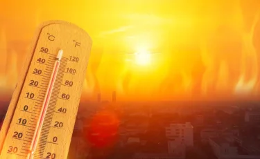 Экстремальная жара: в Турции воздух прогрелся до + 50,5°C